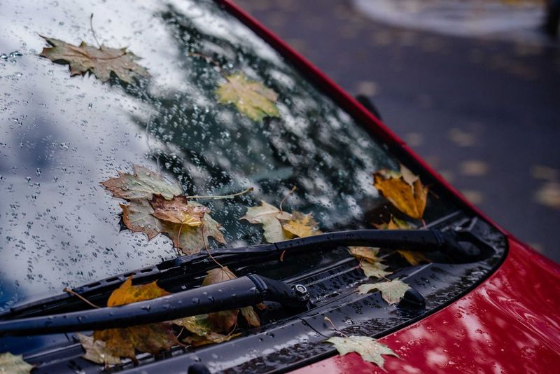 Getting two old vehicles ready for winter for $118